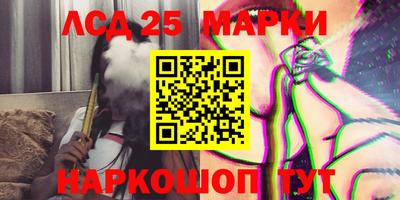 гидропоника Будённовск
