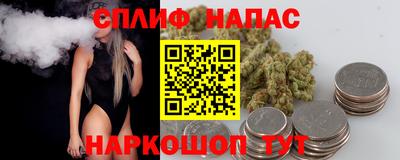 гидропоника Будённовск