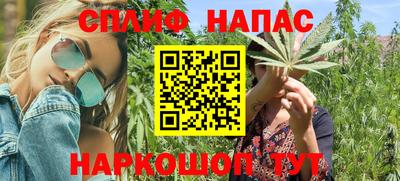 гидропоника Будённовск
