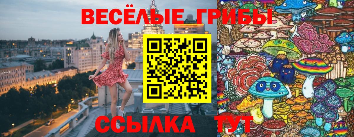 Галлюциногенные грибы прущие грибы  Вход с VPN  Обь 