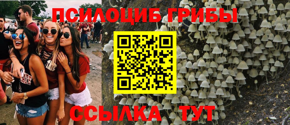 Псилоцибиновые грибы Psilocybe Обь
